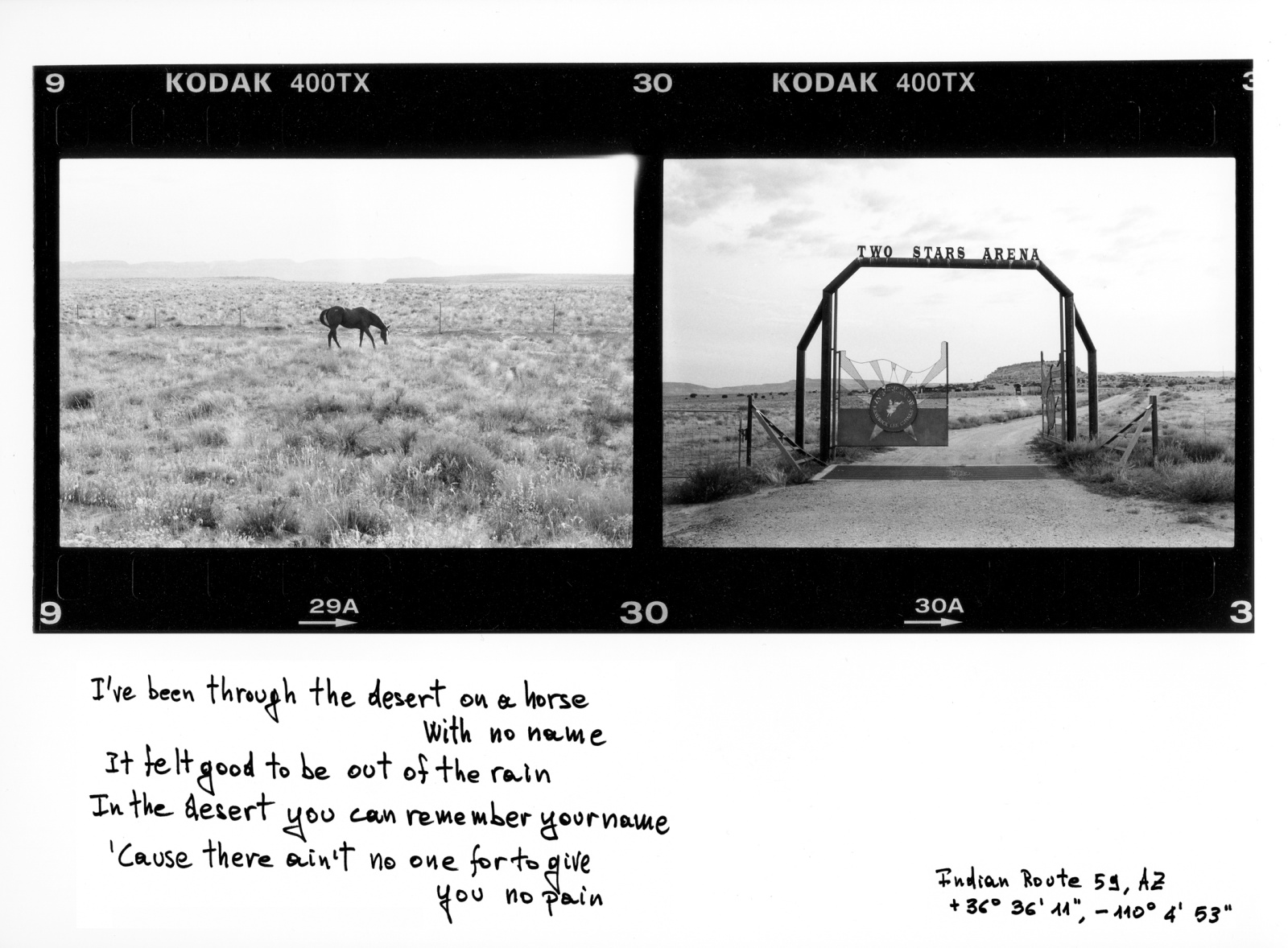 Horse with no name (Indian Route 59 near Kayenta,AZ) 2007 - (c) America