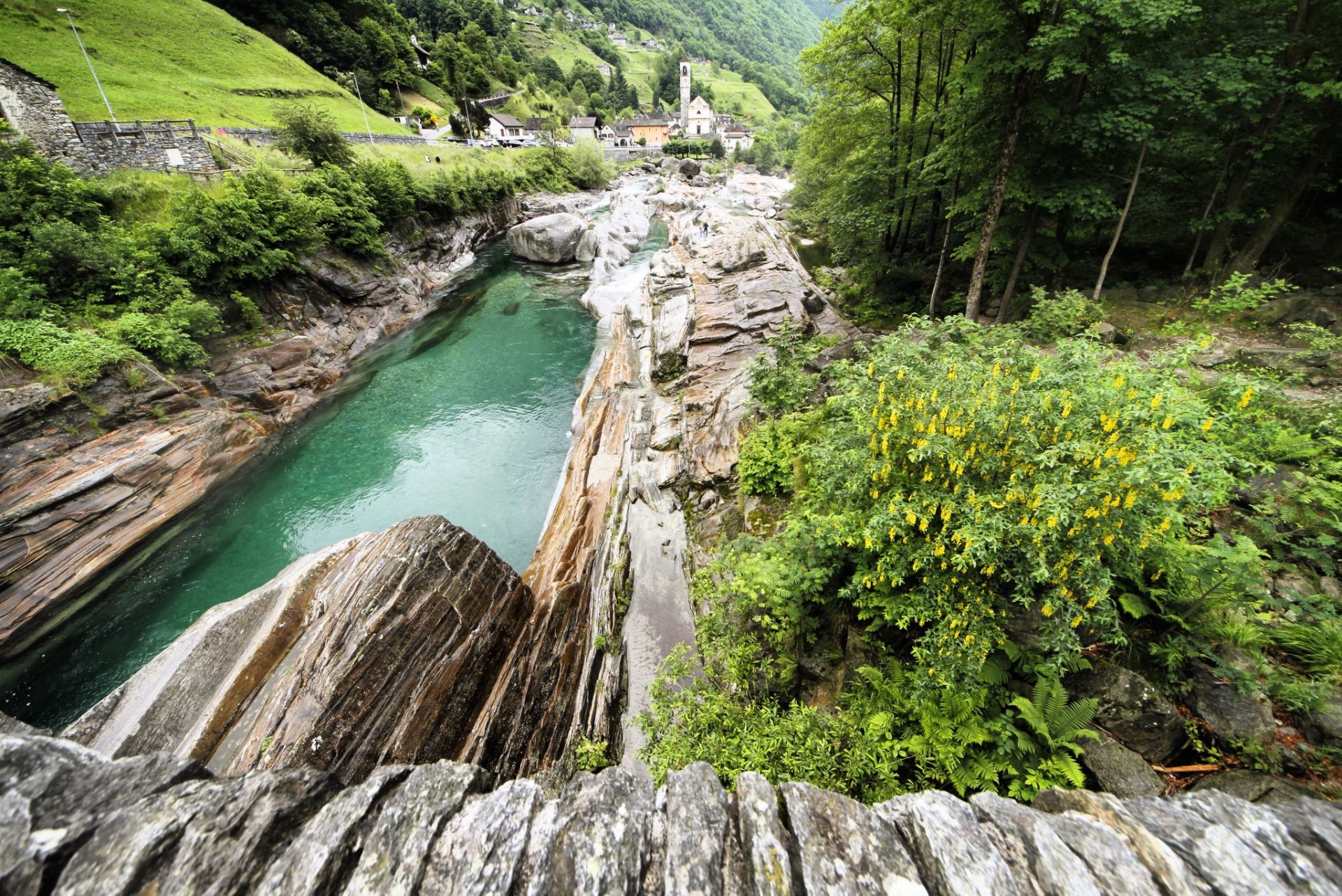 Svizzera: la foresta incantata
